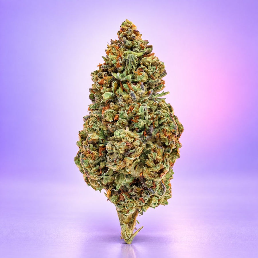 Strawberry 10-OH-HHC