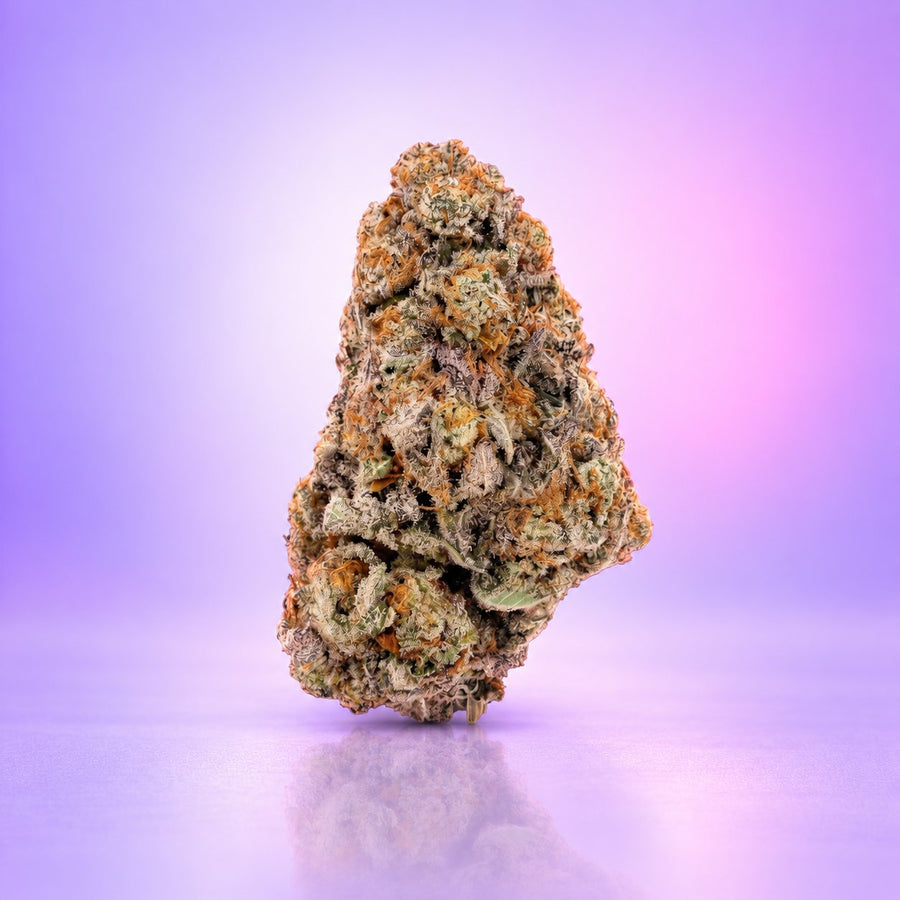 Runtz THC+
