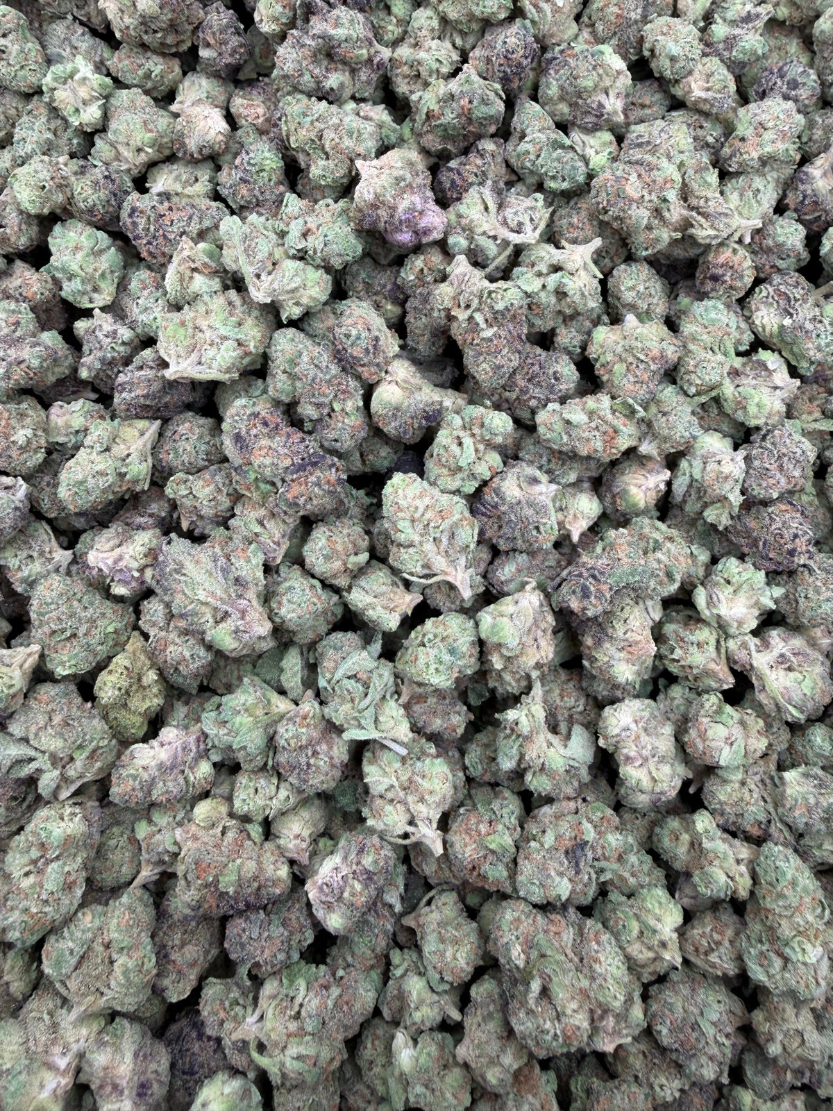 Black Maple THCA-thumbmail-3