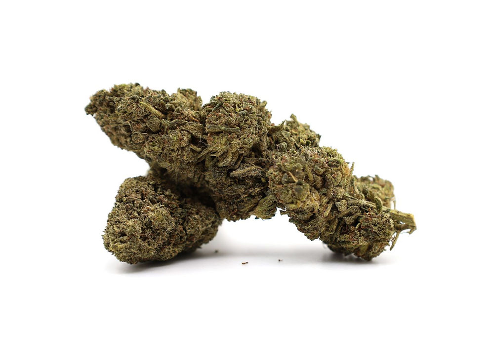 Green Diesel TH-X-thumbmail-2