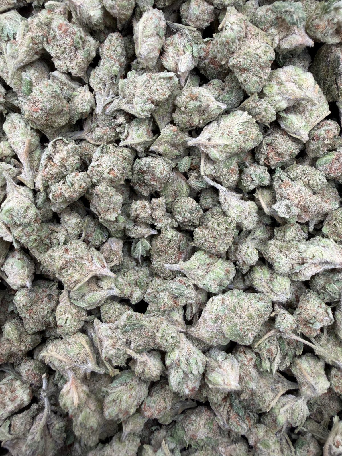 Papaya Punch THCA-thumbmail-3