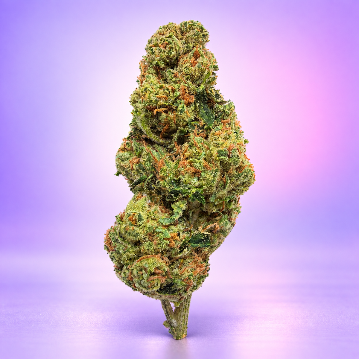 Alien OG THCA — fleurs sur fond lilas et rose Tentakush