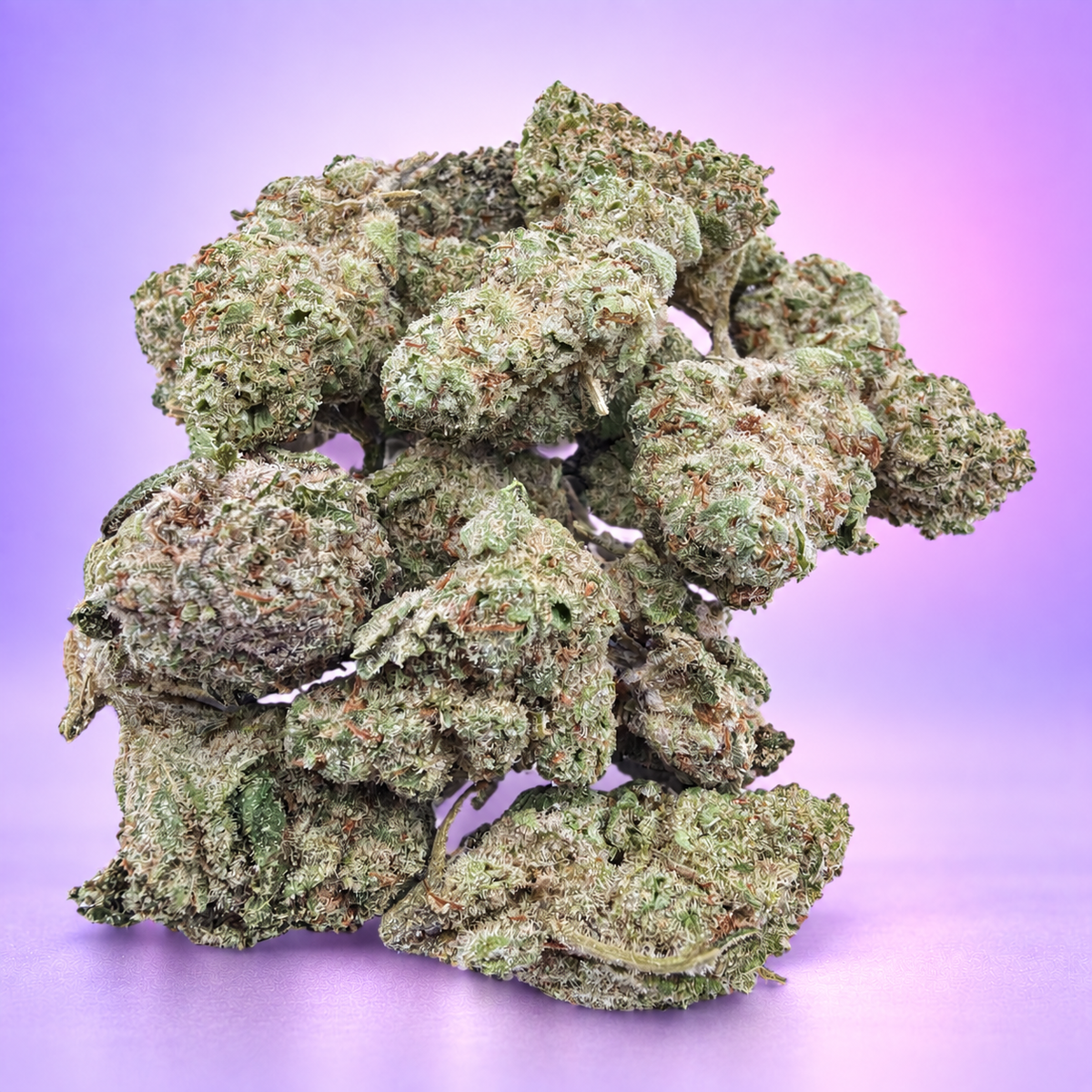 Papaya Punch THCA — fleurs sur fond lilas et rose Tentakush
